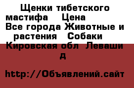 Щенки тибетского мастифа. › Цена ­ 30 000 - Все города Животные и растения » Собаки   . Кировская обл.,Леваши д.